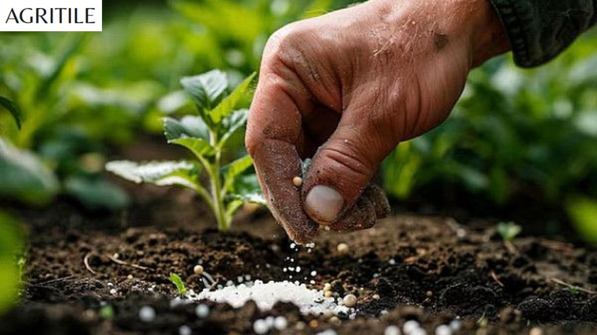 Best Liquid Fertilizer for Aquarium Plants