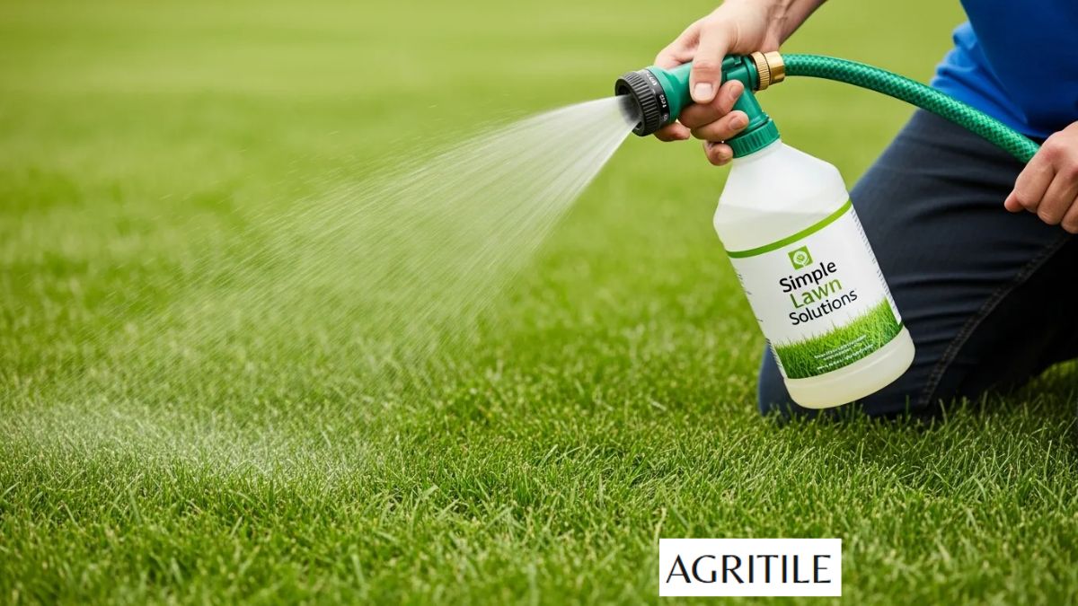Best Liquid Fertilizer for Centipede Grass