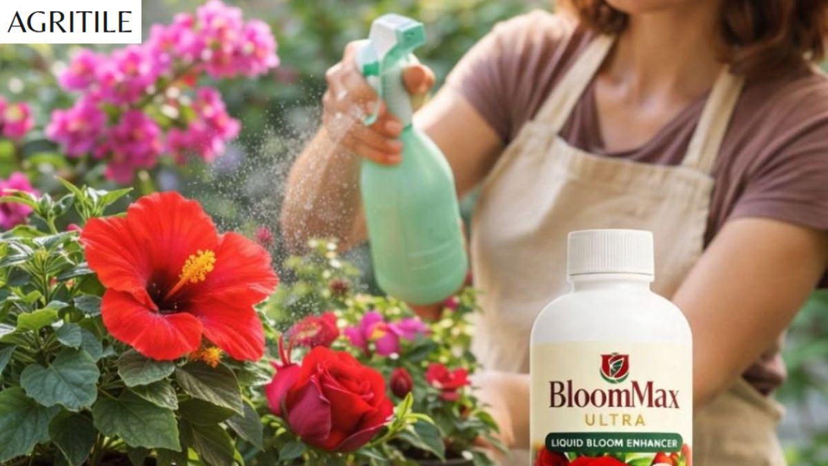 Best Liquid Fertilizer for Flowers