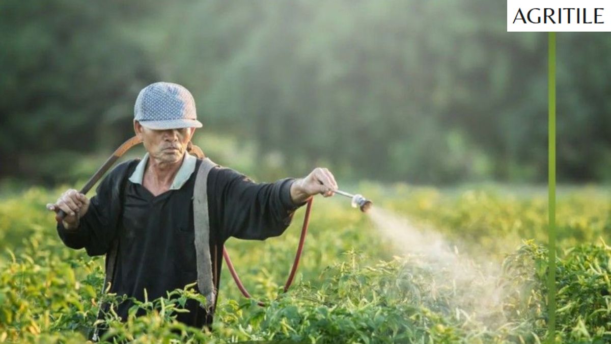 Best Liquid Fertilizer for Food Plots