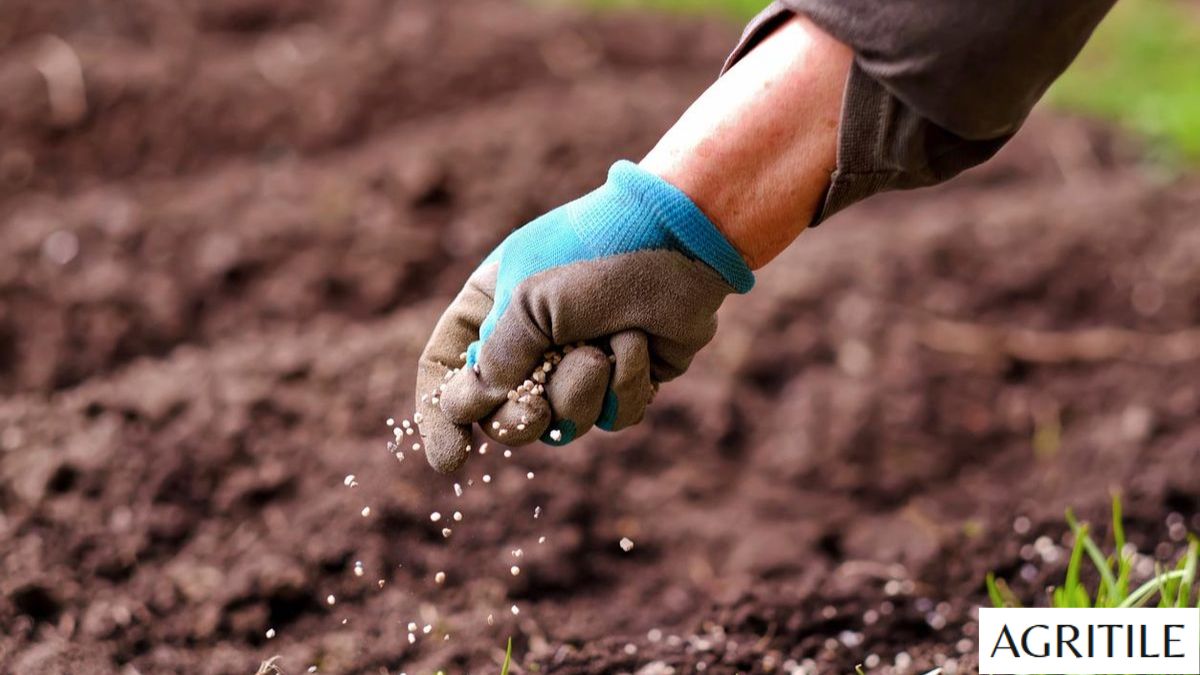Best Liquid Fertilizer for Grass