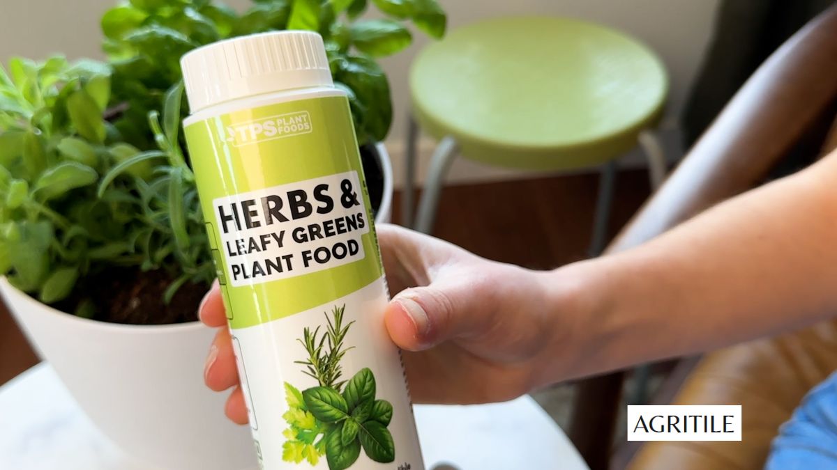 Best Liquid Fertilizer for Herbs