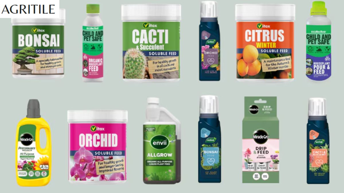 Best Liquid Fertilizer for Indoor Plants in Water