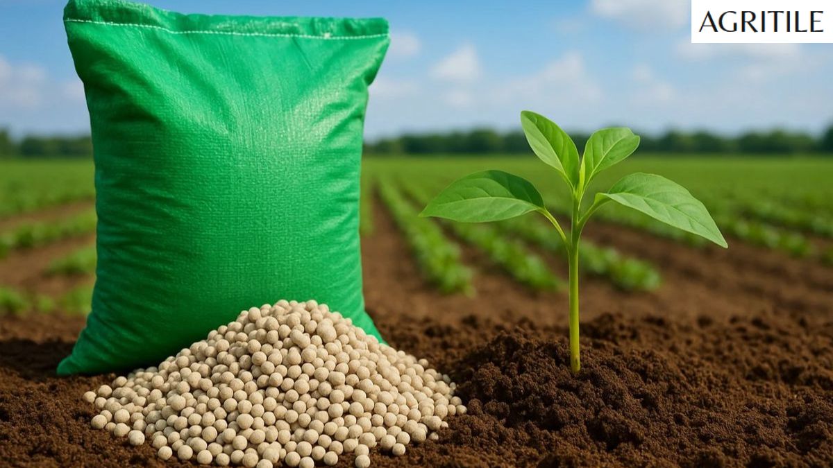 Best Liquid Fertilizer for Pastures