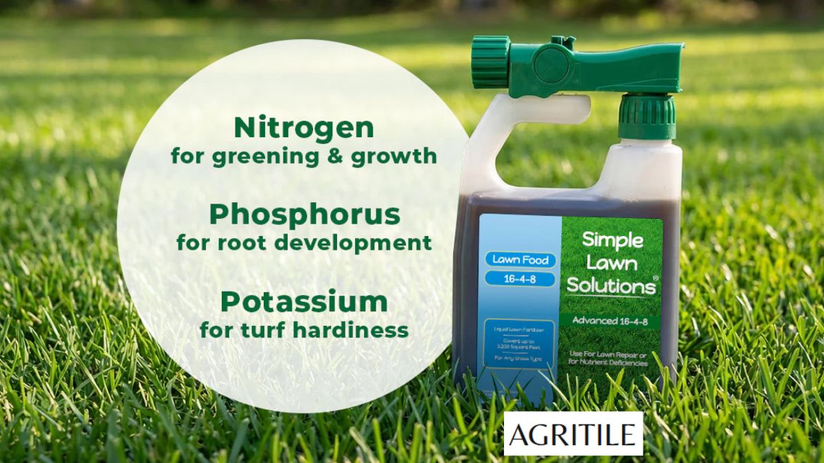 Best Liquid Fertilizer for Ryegrass
