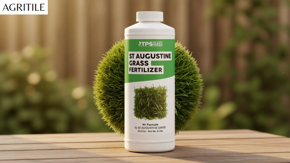 Best Liquid Fertilizer for St Augustine Grass