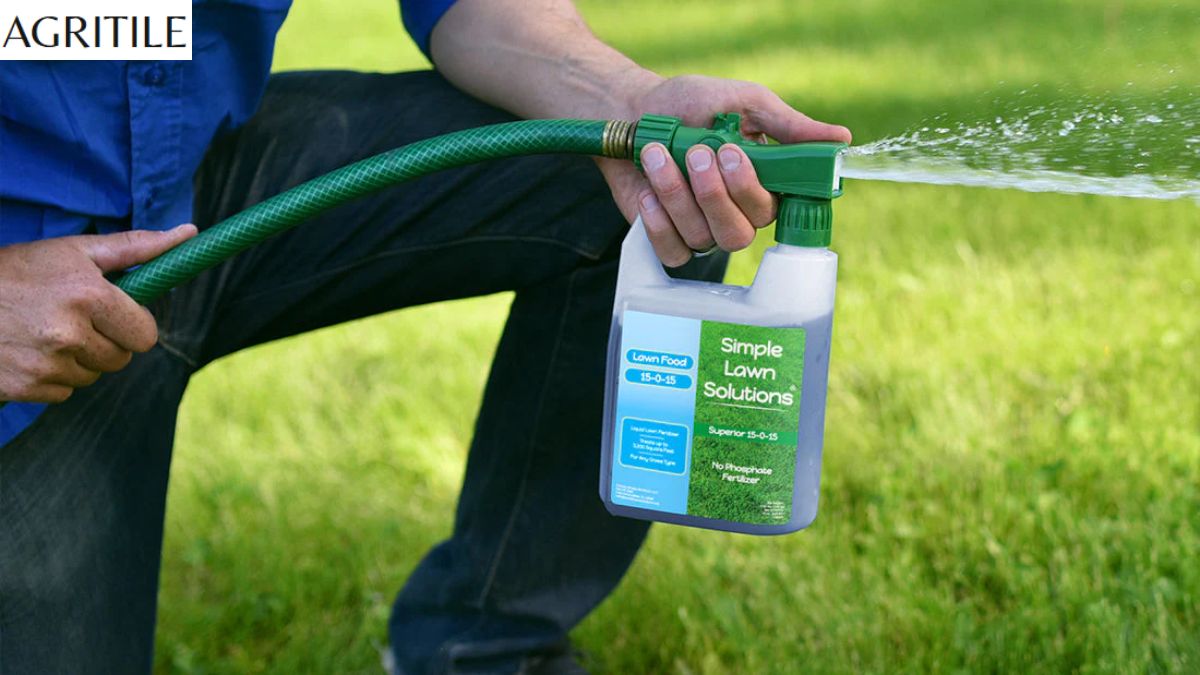 Best Liquid Fertilizer for Zoysia Grass