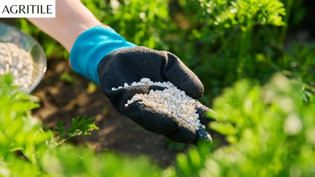 Handling 10-10-10 fertilizer for younger seedlings