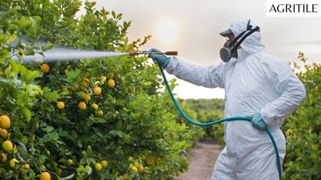 Homemade Options: Making Your Own Liquid Fertilizer