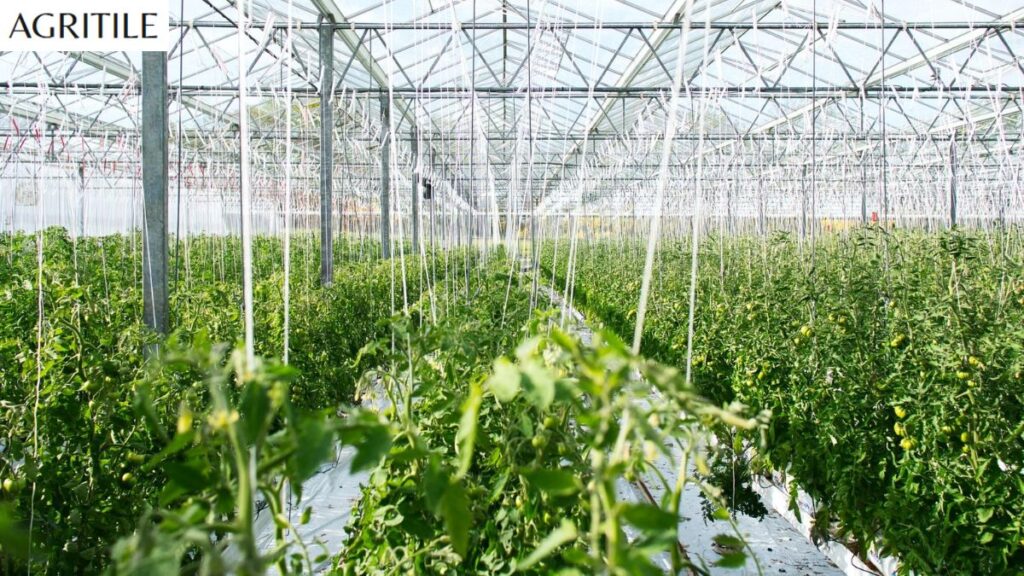How to Use Smart Fertigation for Best Results