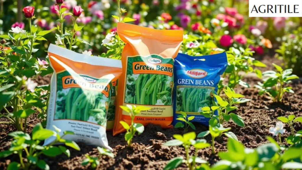 How to use liquid fertiliser for beans step by step