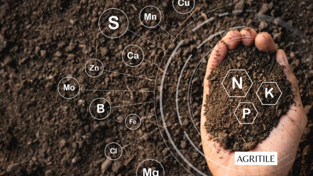 Importance of Using the Right Nutrients for Your Plants