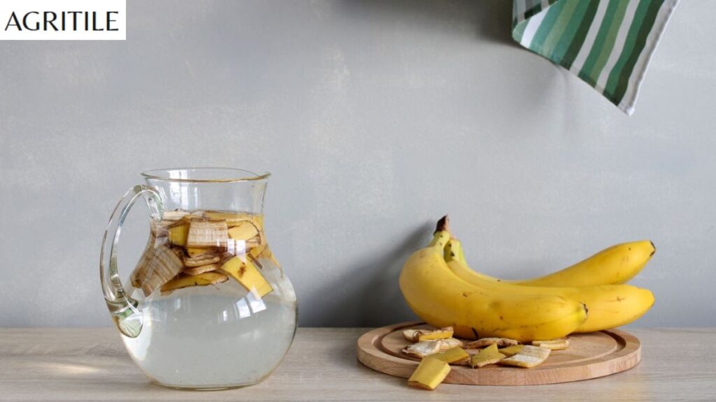 Is banana peel liquid fertilizer good for plants?