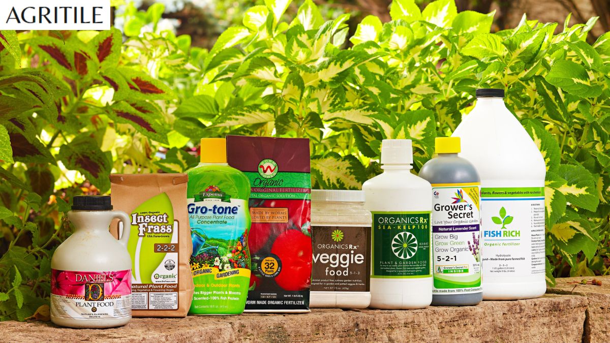 Liquid Fertilizer for Flowering Plants