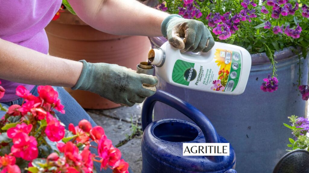 Organic and homemade liquid feeds to try