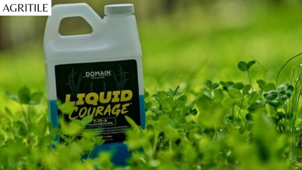 Regional Guide: Best Liquid Fertilizer for Maize in Africa