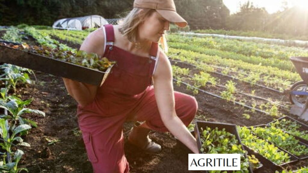 Seasonal guides for farmers and gardeners