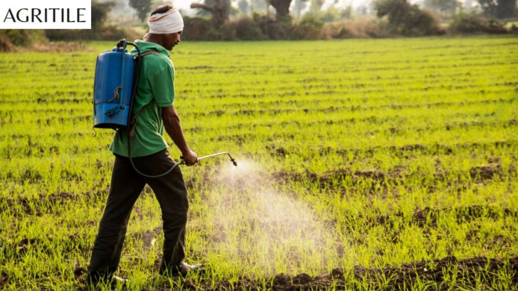 Step-by-Step: How to Apply Foliar Liquid Fertilizer