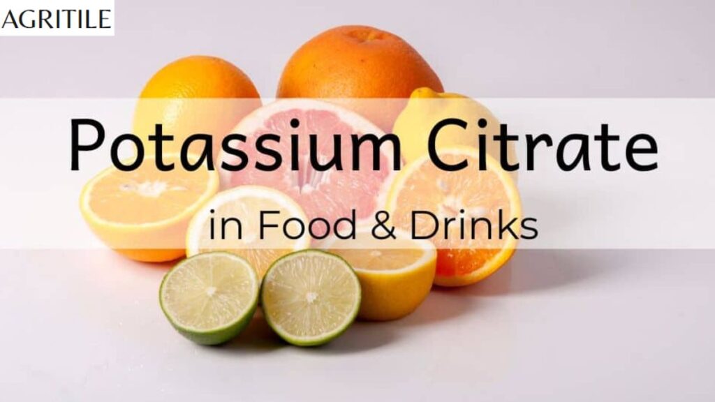 The Importance of High Potassium in Your Citrus Food