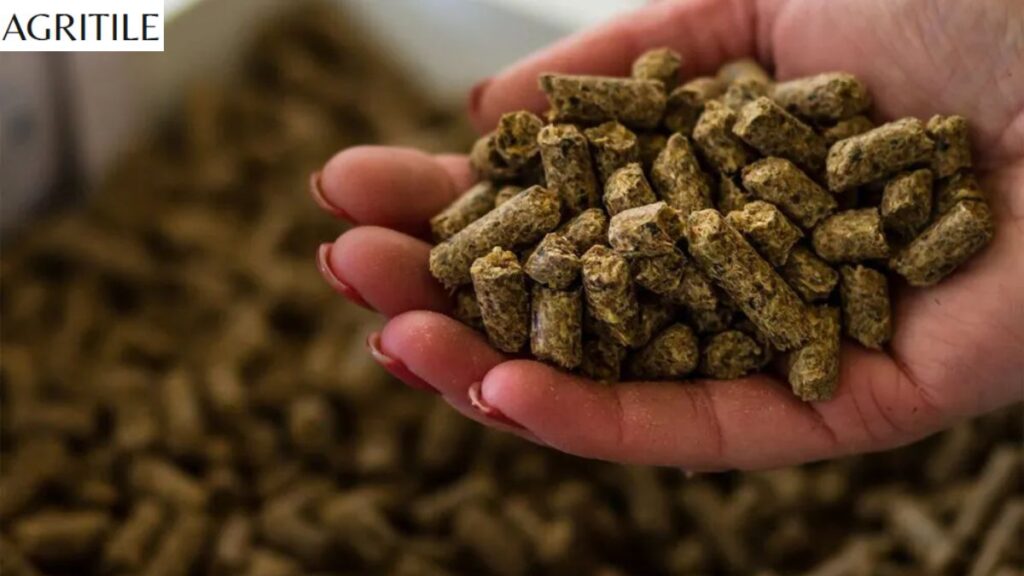 The Importance of Using Liquid Feed Over Dry Pellets