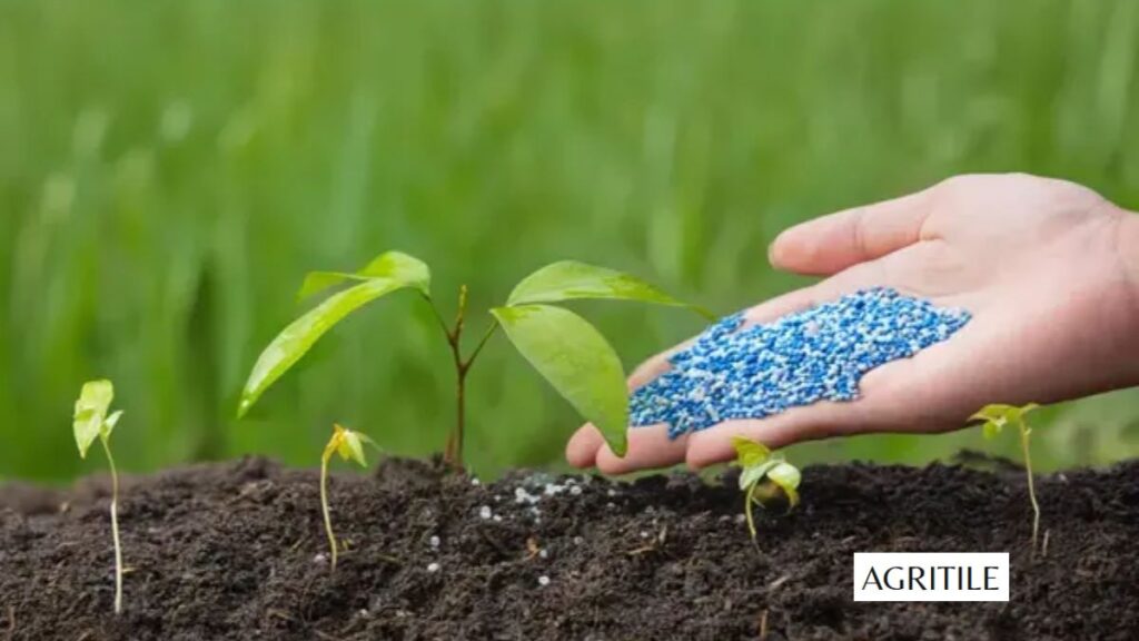 The magic of NPK and micronutrients