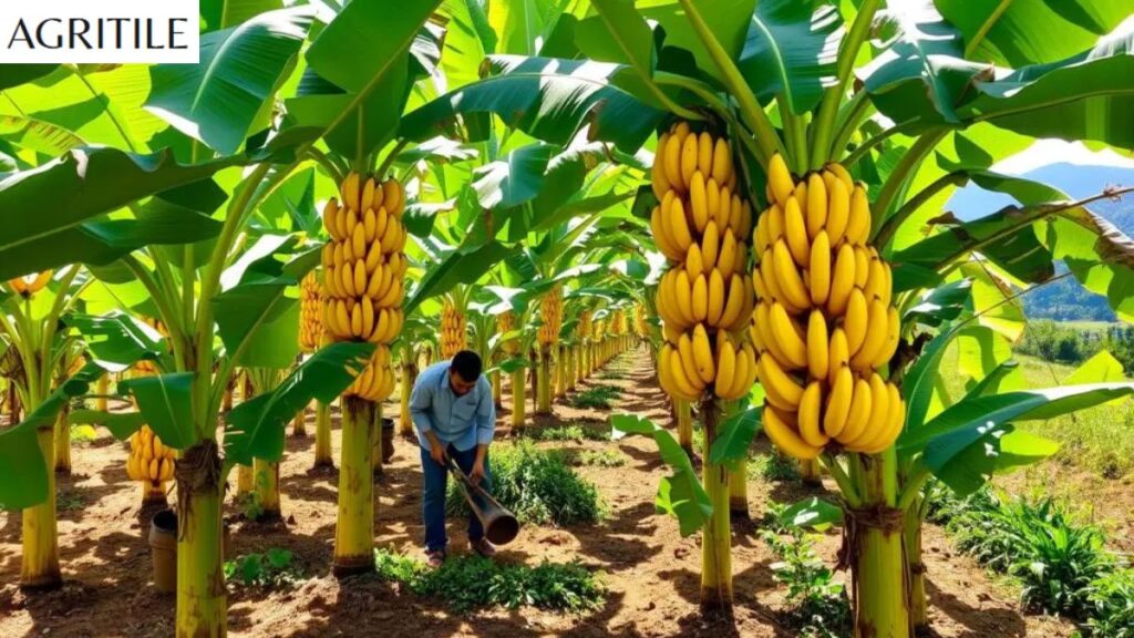Timing Your Fertilizer for Maximum Results