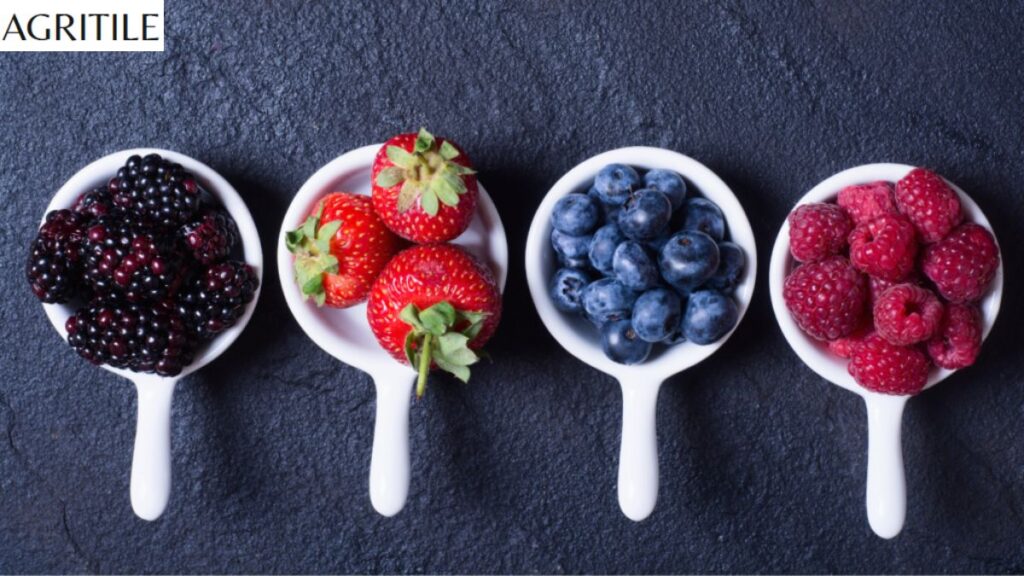 Tips and Tricks for Professional Level Berry Results
