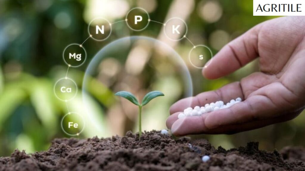 Why You Must Follow Food Plot Fertilizer Recommendations
