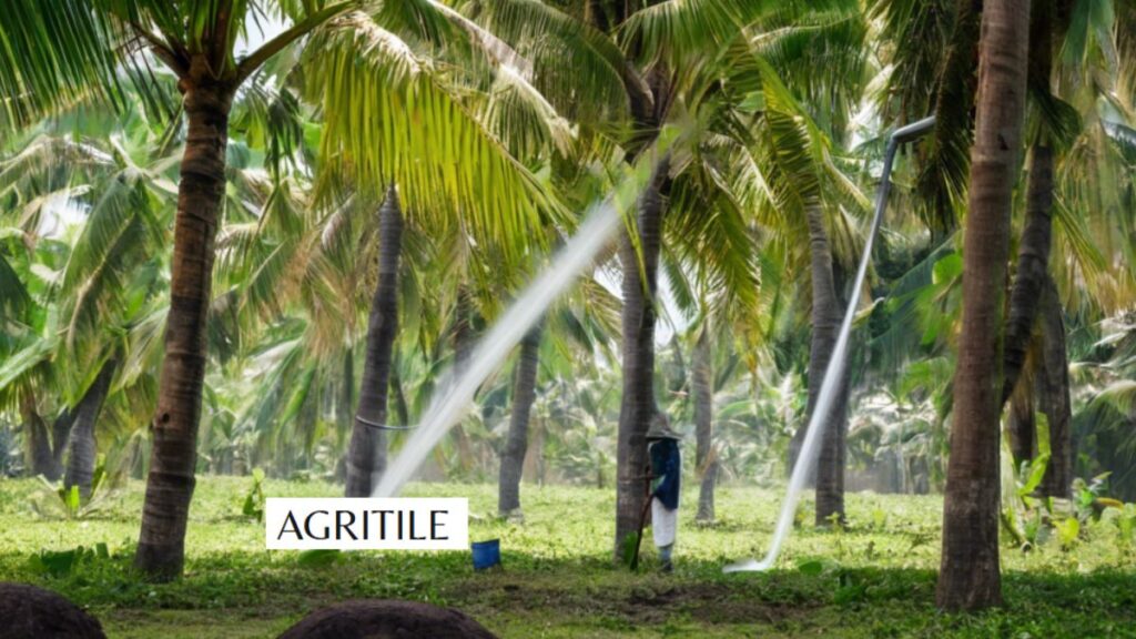 Advanced Strategies: Drip Fertigation for Large Areas
