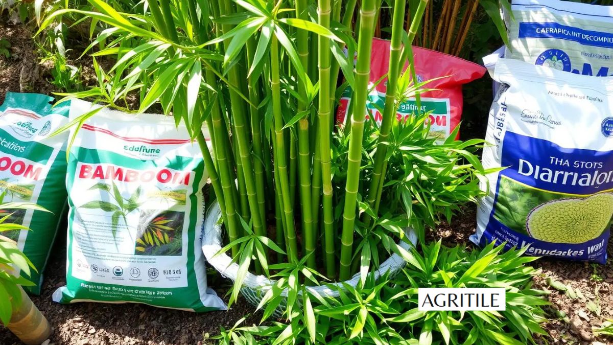 Best Liquid Fertilizer for Bamboo
