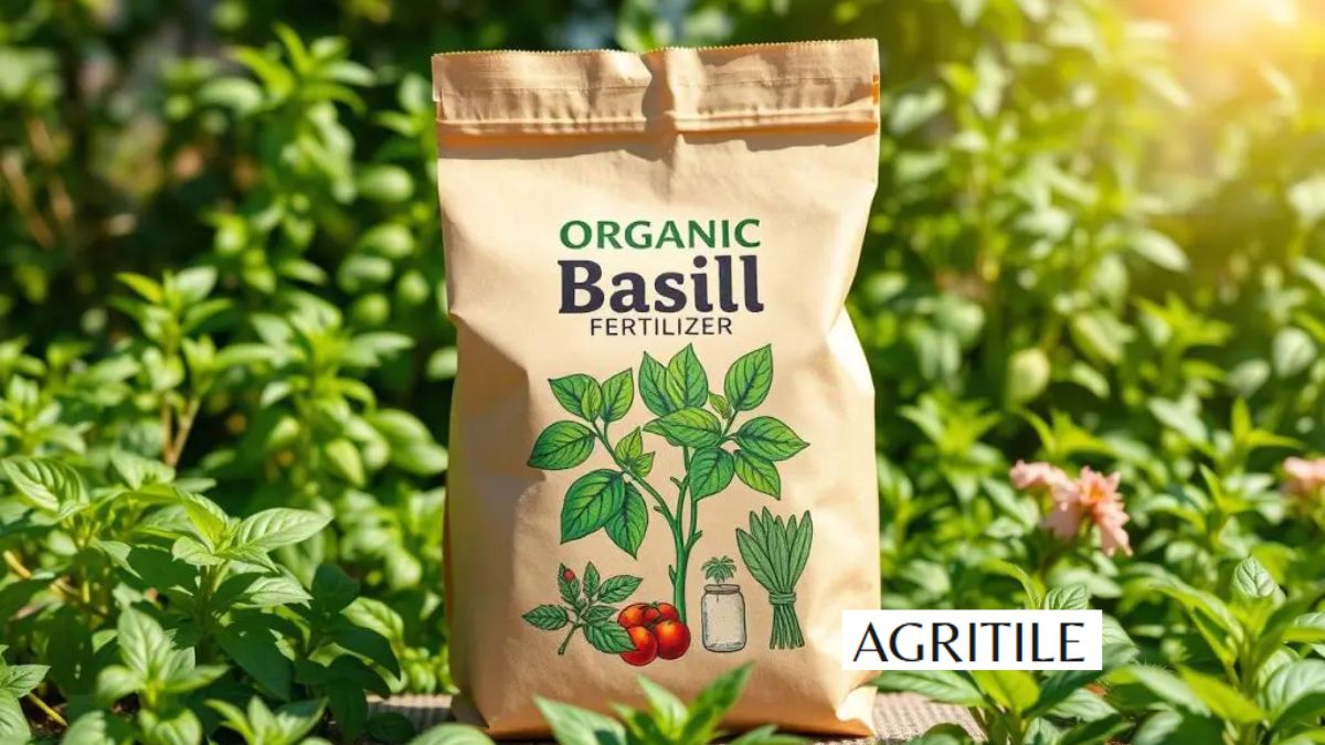 Best Liquid Fertilizer for Basil