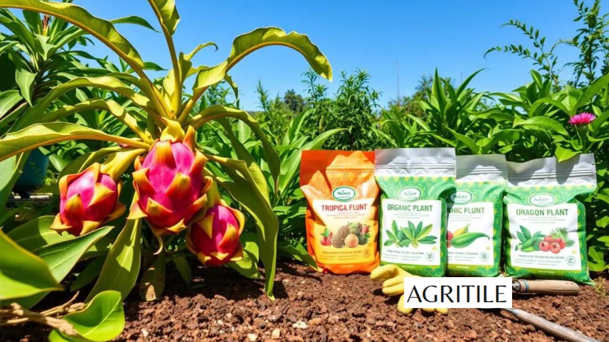 Best Liquid Fertilizer for Dragon Fruit