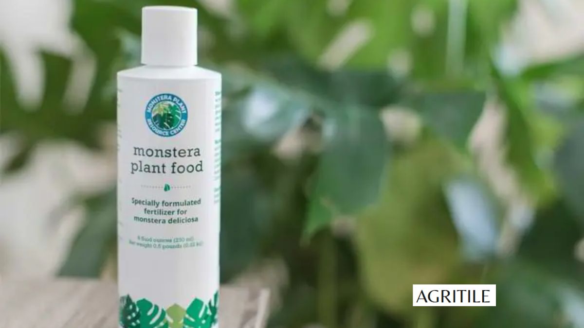 Best Liquid Fertilizer for Monstera