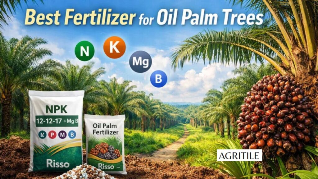 Best Liquid Fertilizer for Palm Trees Reviewed