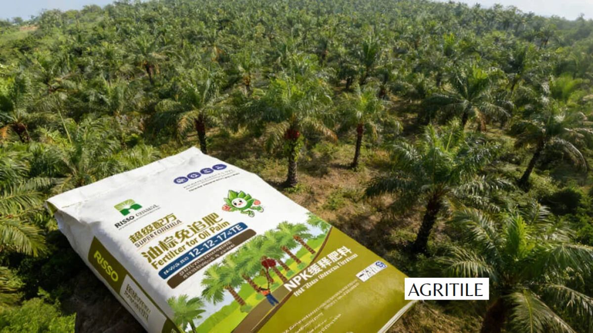 Best Liquid Fertilizer for Palm Trees