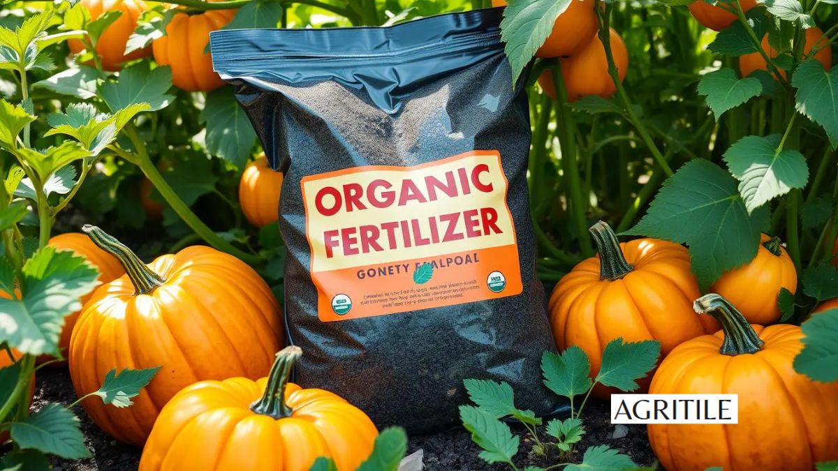 Best Liquid Fertilizer for Pumpkin