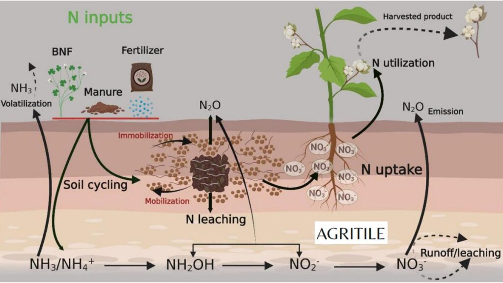 Scientific Analysis of Nitrogen Use Efficiency (NUE)