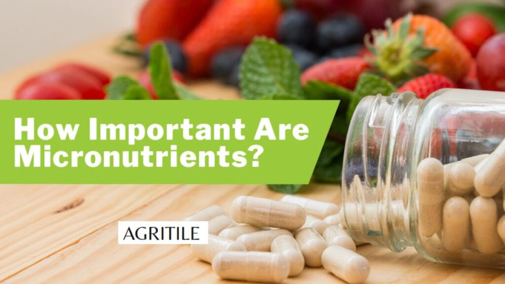 Understanding the Importance of Micronutrients