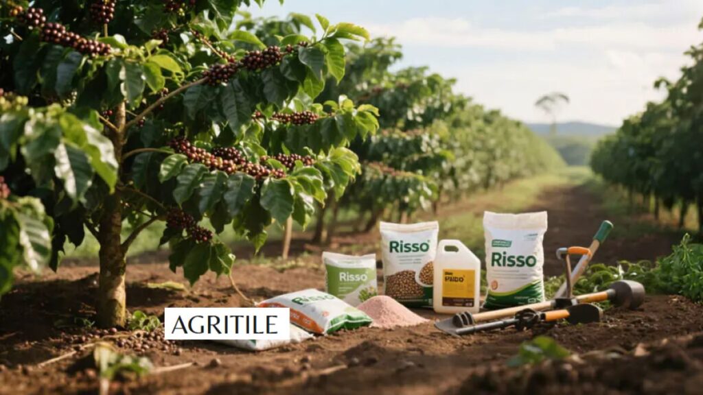 Understanding what kind of fertilizer do you use for coffee plants?