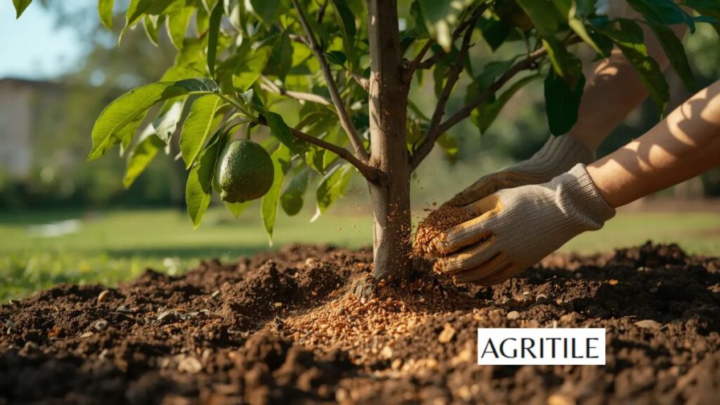 Why is liquid feed important for your trees?